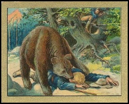 T57 94 The Travellers And The Bear.jpg